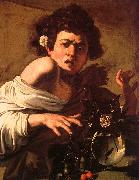 Caravaggio Youth Bitten by a Green Lizard oil painting
