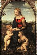 Raphael The Virgin and Child with John the Baptist China oil painting reproduction