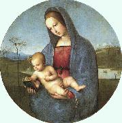 Raphael Conestabile Madonna oil painting artist