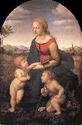 Raphael The Virgin and Child with the infant Saint John the Baptist oil painting reproduction