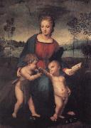 Raphael The Madonna of the Goldfinch oil painting reproduction