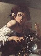 Caravaggio Boy Bitten by a Lizard oil painting reproduction