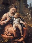 Correggio The Madonna of the Basket oil painting artist
