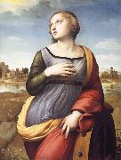 Raphael Saint Catherine of Alexandria oil painting artist
