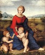 Raffaello Madonna of Belvedere oil painting artist