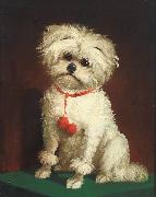 Anonymous Portrait of a Maltese dog oil painting artist