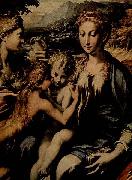 PARMIGIANINO Thronende Madonna, Hl. Zacharias, Hl. Johannes der Taufer und Hl. Maria Magdalena oil painting on canvas