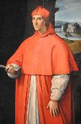 Raphael Portrait of Cardinal Alessandro Farnese oil painting artist