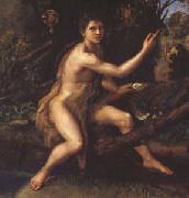Raphael John the Baptist (mk05) oil painting on canvas