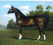 horse01