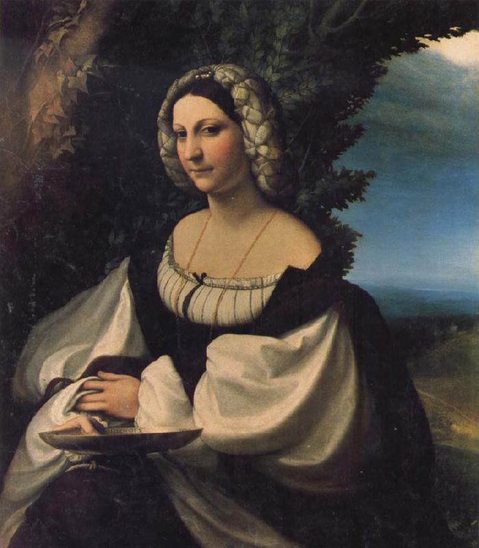  Portrait of a Lady