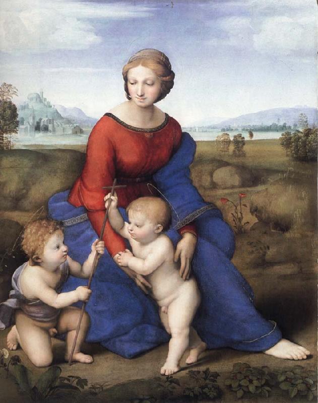  The Madonna in the Meadow
