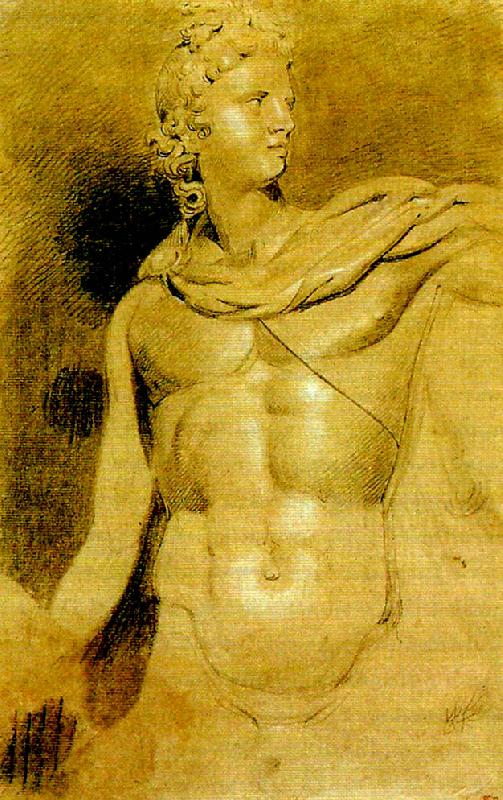  study of the head and torso of the apollo belvedere