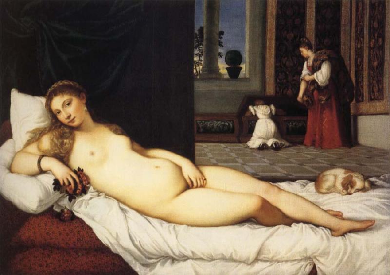  The Venus of Urbino